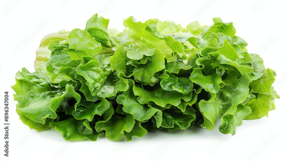 Fresh green lettuce leaves isolated on white background. Healthy eating concept. Ingredient for salad. Fresh green lettuce leaves isolated on white background. Healthy eating concept. Ingredient for salad.