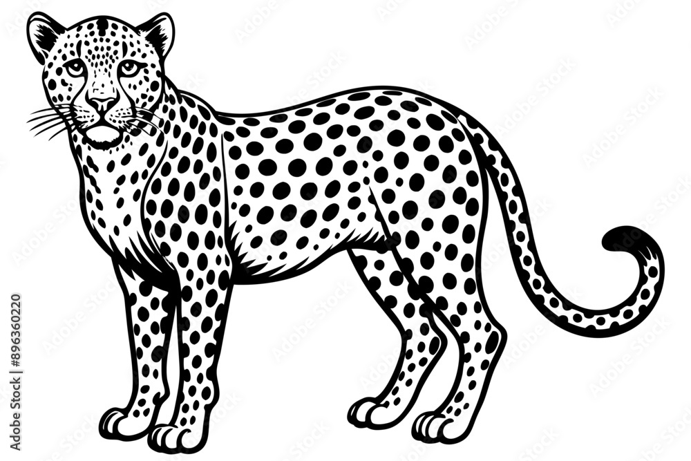 Funny Cheetah Vector Illustration, Cartoon Clipart, and Line Art Design on White Background, Funny cheetah vector illustration, cartoon clipart, and line art design on white background. Funny Cheetah Vector Illustration, Cartoon Clipart, and Line Art Design on White Background, Funny cheetah vector illustration, cartoon clipart, and line art design on white background.