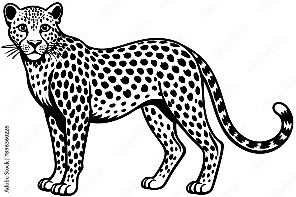 Funny Cheetah Vector Illustration, Cartoon Clipart, and Line Art Design on White Background, Funny cheetah vector illustration, cartoon clipart, and line art design on white background. Funny Cheetah Vector Illustration, Cartoon Clipart, and Line Art Design on White Background, Funny cheetah vector illustration, cartoon clipart, and line art design on white background.