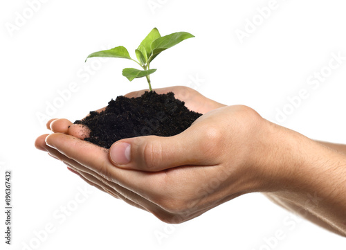 Environmental protection. Man holding seedling with pile of soil on white background, closeup