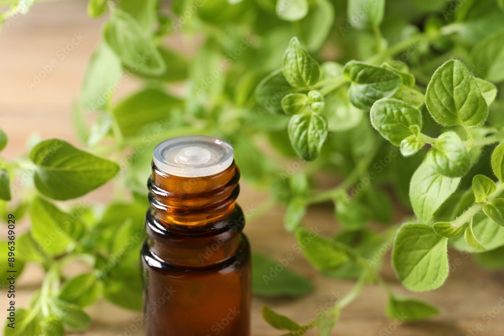 Essential oil in bottle and oregano twigs on table, closeup Essential oil in bottle and oregano twigs on table, closeup