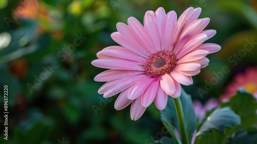 A lovely flower captured by my camera