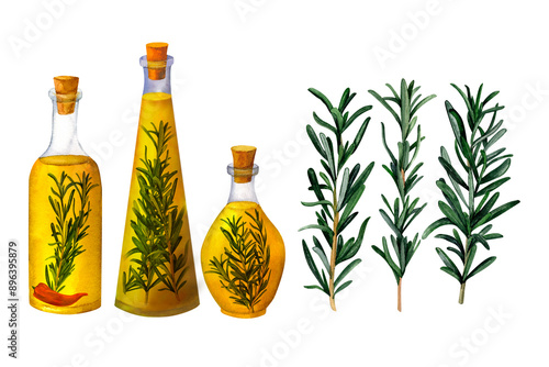 A bottle of fragrant olive oil with spices and rosemary, watercolor hand painted, isolated on white background. It can be used for prints on textile and paper, for clothes, plates and dishes design photo