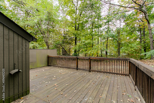 Картината върху платно Cabin Wooden Deck In A Secluded Forested Backyard With Serene Ambiance