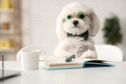 Cute white Bolognese dog in bowtie sitting at workplace with notebook in office