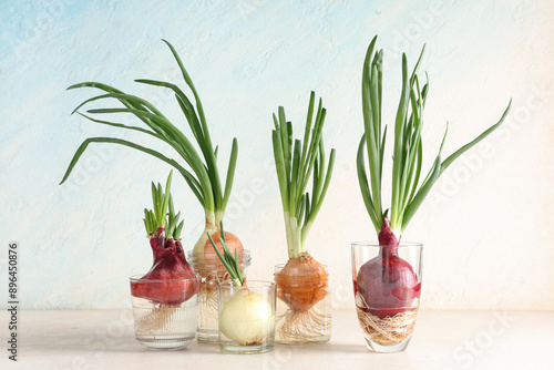 Glass jars with cultivated ...