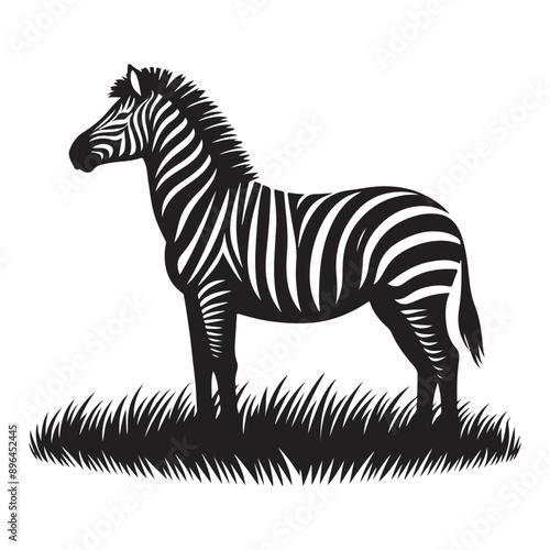 zebra vector silhouette illustration