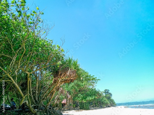 summer holidays. pretty and sunny tropical karapyak beach with white sand and trees. beautiful sea view. blue landscape. pandanus palm tree on beach photo