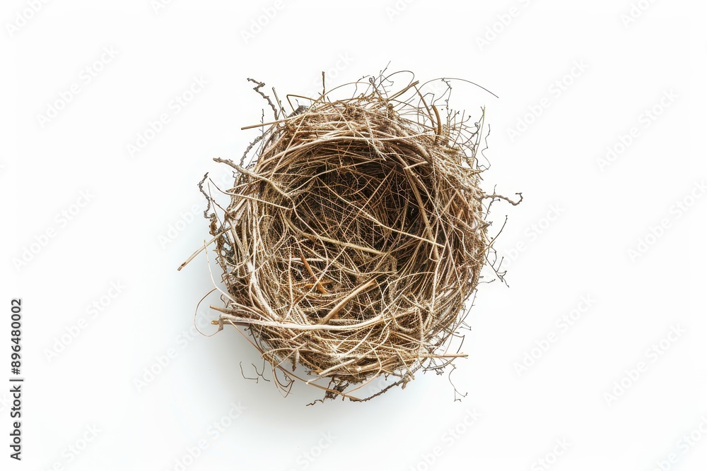 Bird nest from above on white surface Bird nest from above on white surface