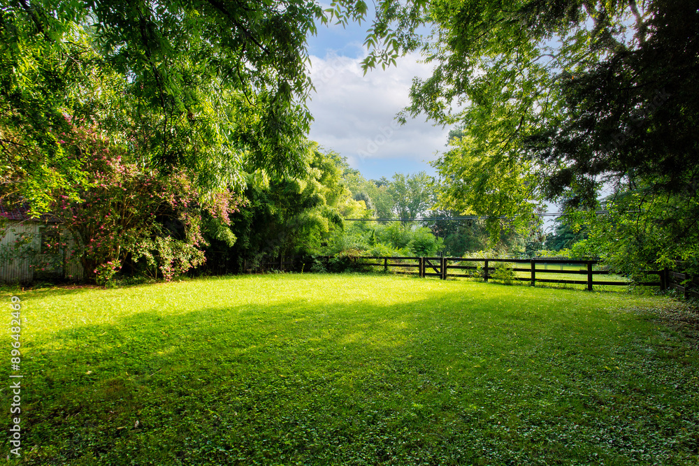 Farm Sunlit Backyard With Lush Green Trees And A Wooden Fence View Farm Sunlit Backyard With Lush Green Trees And A Wooden Fence View