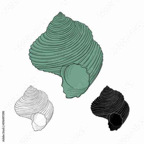 Sea shell flat style vector illustration