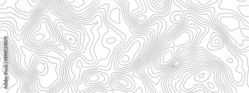 Transparent PNG Topographic line map. Modern design with White background with topographic wavy pattern design.  © The Alpha