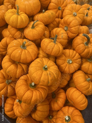 pumpkins on a farm