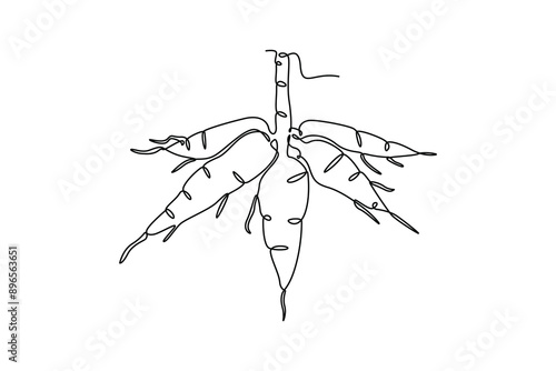 Single one line drawing of whole healthy organic cassava for plantation logo identity. Fresh edible starchy tuberous root concept for farm icon. Continuous line draw design graphic vector illustration