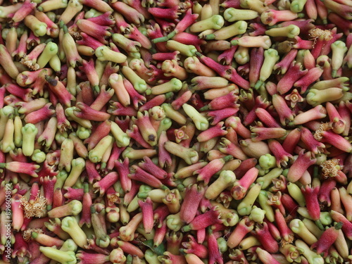 Background of fresh clove fruit, clove fruit sprinkled to dry