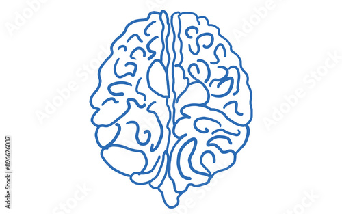 brain vector illustration