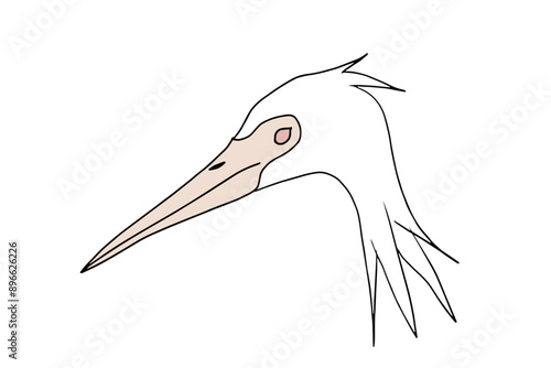 vector illustration of the head of a heron, birth