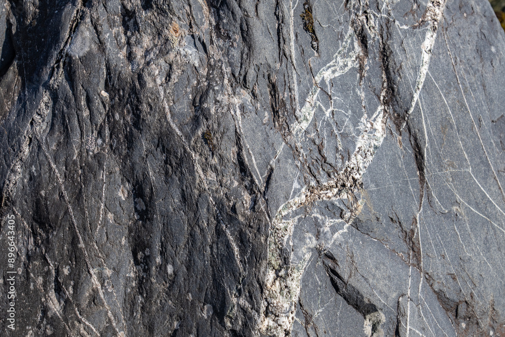 Fototapeta premium Portage Lake, Chugach National Forest, Alaska. Begich, Boggs Visitor Center. Metasedimentary rocks