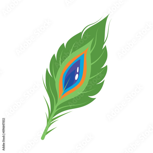 peacock feather decoration