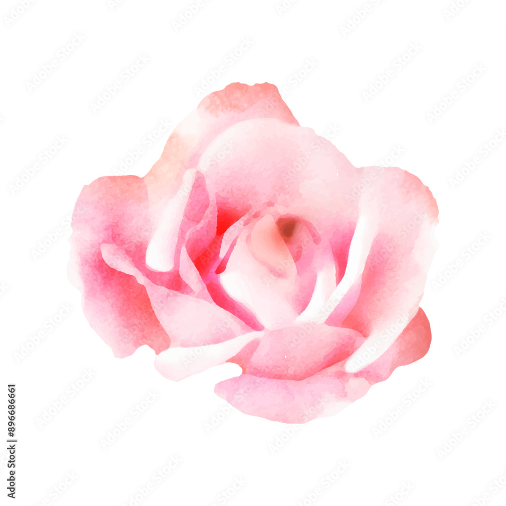 Fototapeta premium Detailed watercolor flower illustration, Elegant watercolor spring flower