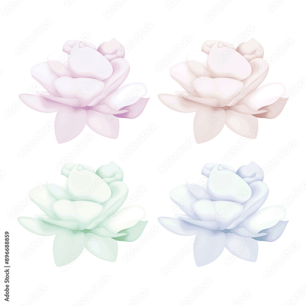 Fototapeta premium 64 Detailed watercolor flower illustration, Elegant watercolor spring flowers set