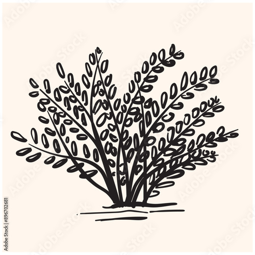 Grass doodle sketch With illustration style doodle and line art
