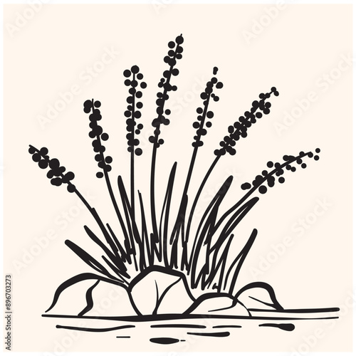 Grass doodle sketch With illustration style doodle and line art