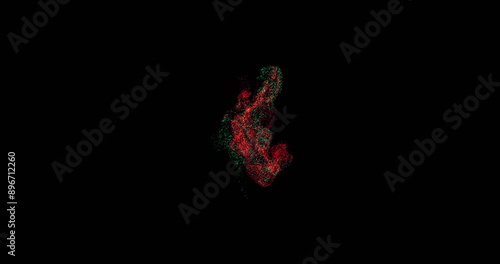 Image of red and gray shapes moving on black background