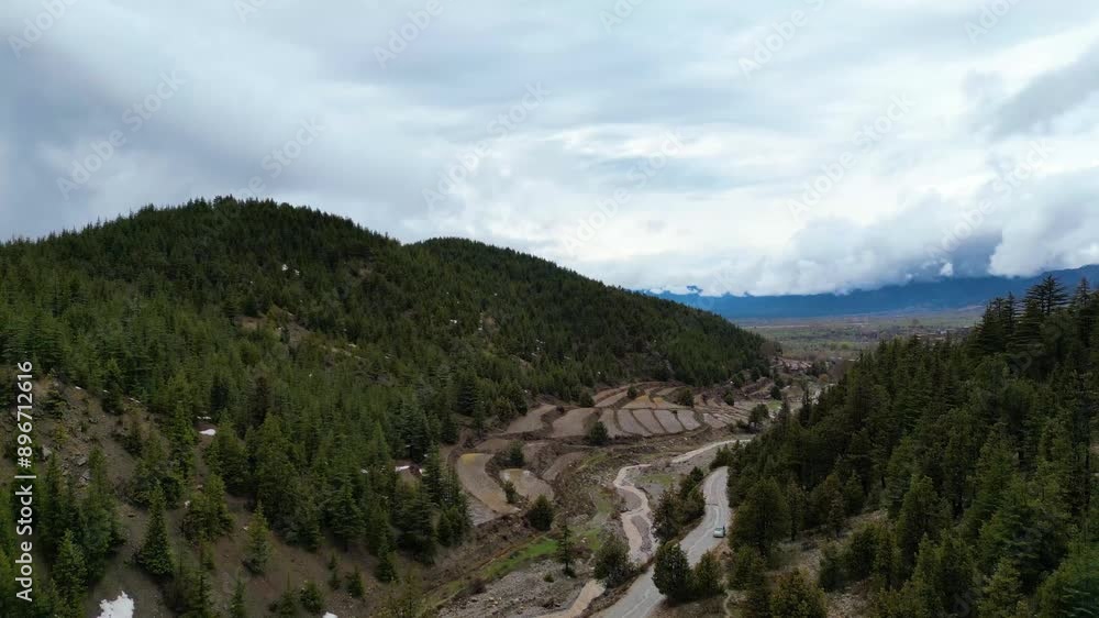 Jungle view, The Drone flies over a landscape of dense, verdant forest-covered mountains, Aerial View of Lush Green Forest Mountains, Jungle view