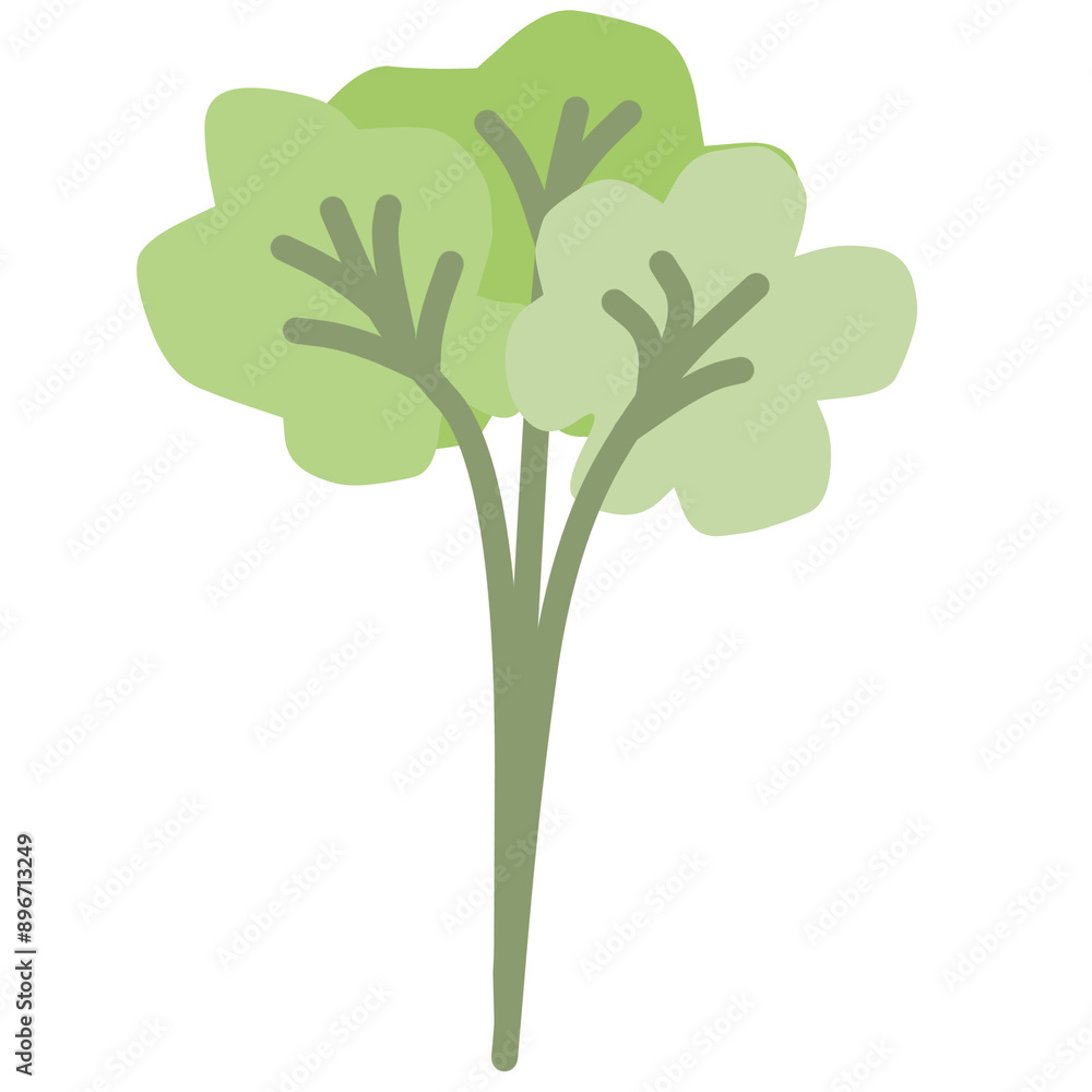 flower illustration flower illustration