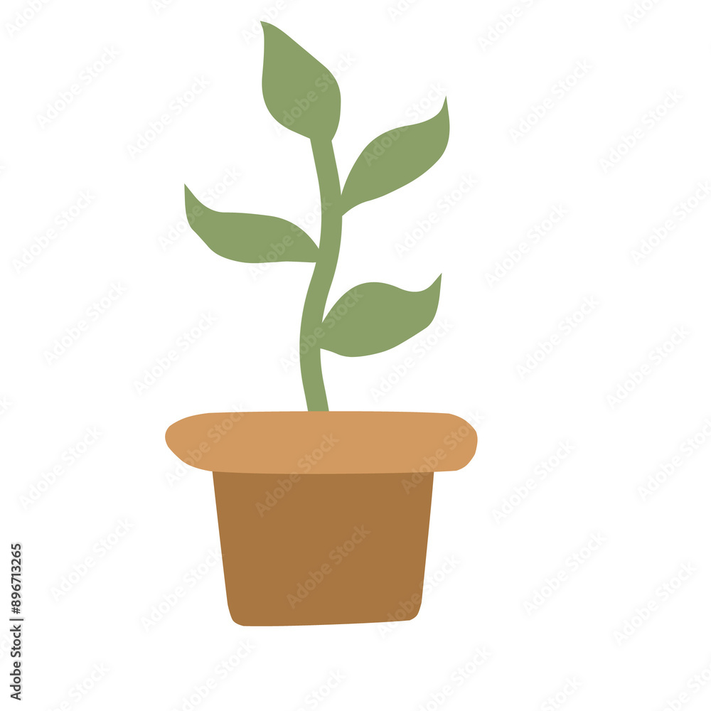 flower illustration flower illustration