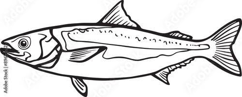 Illustration Artwork of anchovy fish