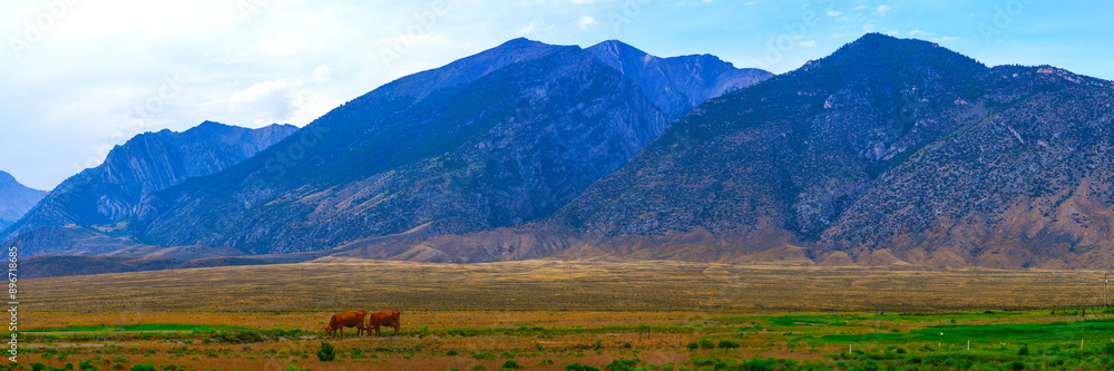 Fototapeta premium Idaho Hwy I-93 Summer Road Travel Landscape along the Peaks to Craters Scenic Byway U.S. Route 93: The Beauty of the Lost River Mountains and Valley