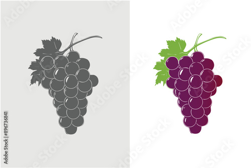 Grapes icon. Bunch of purple grapes with stem and leaf. Vector illustration silhouette on white background. photo