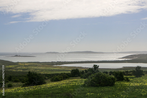 landscape with flowers and rocks in West Coast National Park, South Africa