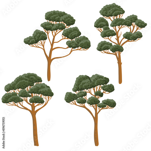 vector drawing pine trees with green foliage isolated at white background, hand drawn illustration