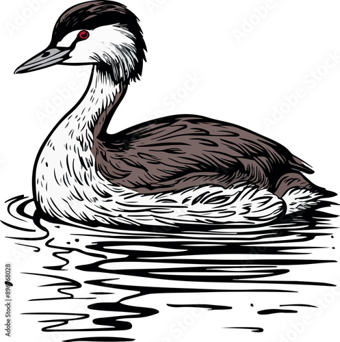 Illustration Artwork of grebe