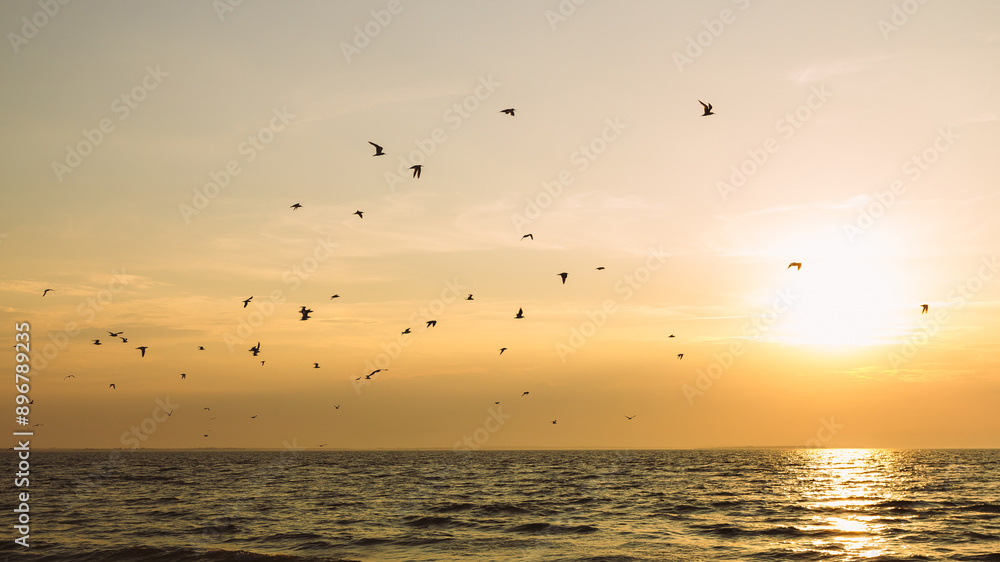 Panorama of ocean beach at sunset with silhouettes of seagulls. Golden pink sunset over the sea and silhouette of flying birds. A flock of birds flies over the sea against the background of the sunset Panorama of ocean beach at sunset with silhouettes of seagulls. Golden pink sunset over the sea and silhouette of flying birds. A flock of birds flies over the sea against the background of the sunset