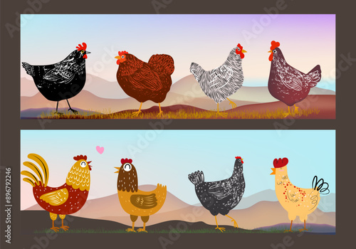 Set of domestic chicken, rooster, hen, breeds poultry farm animal collection  vintage hand drawn vector illustration. Livestock birds pet animal.