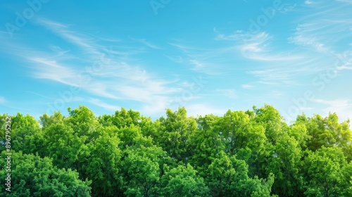 Lush green treetops against a clear blue sky, creating a vibrant and peaceful nature scene. Perfect for a serene backdrop