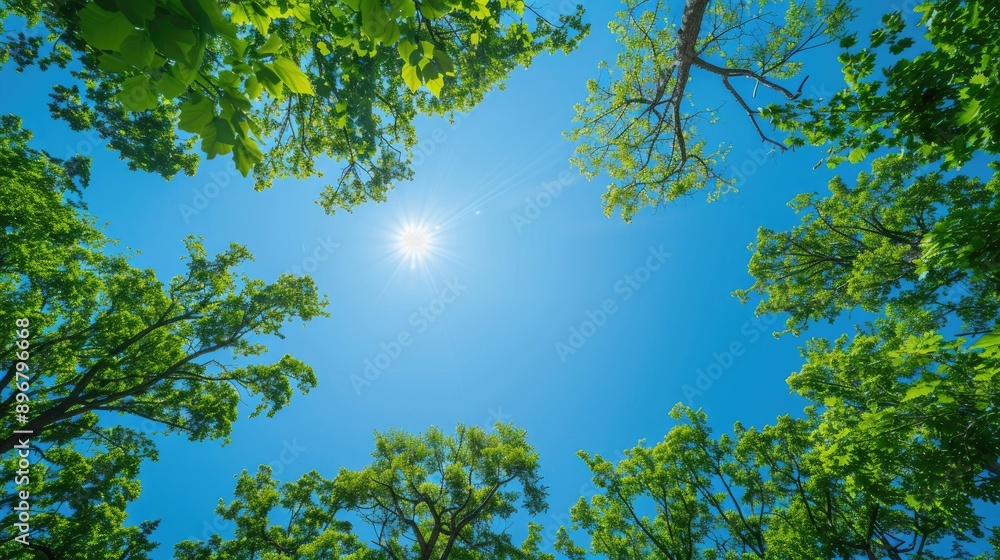 Treetops under a clear blue sky, capturing the essence of a sunny and tranquil day in nature. Peaceful and scenic Treetops under a clear blue sky, capturing the essence of a sunny and tranquil day in nature. Peaceful and scenic