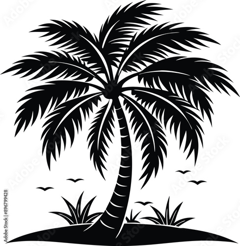 palm tree silhouette