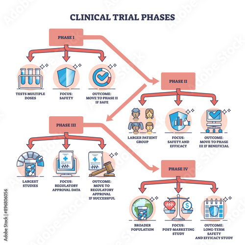 Clinical trial phases with medicine and vaccines testing outline diagram, transparent background. Labeled educational scheme with new drugs study and research process illustration.
