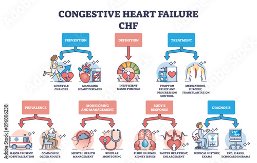 Key aspects of congestive heart failure or CHF explanation outline diagram, transparent background. Labeled educational scheme with stroke prevention, treatment and diagnostics illustration.