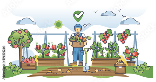 Locally grown food and vegetable farming or harvest process outline concept, transparent background.Natural products and seasonal gardening for eating illustration.