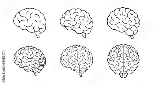 Set of Human Brain Line Art Illustration 