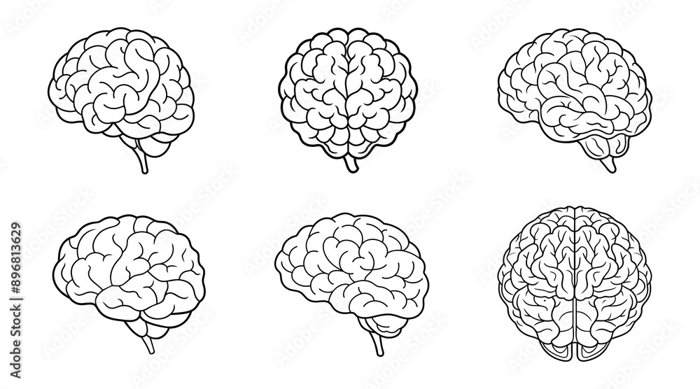 Set of Human Brain Line Art Illustration Set of Human Brain Line Art Illustration