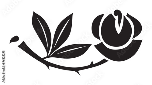 Rose3250724a.eps