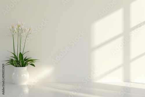 Modern Indoor Plants in Sunlit Room, Stylish indoor plants in minimalist white pots, illuminated by natural sunlight, perfect for modern home decor and interior design. 