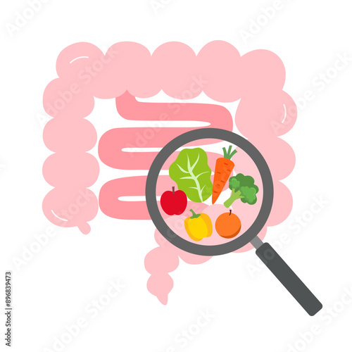 Healthy intestine with fruits and vegetables intestine magnifying glass vector.